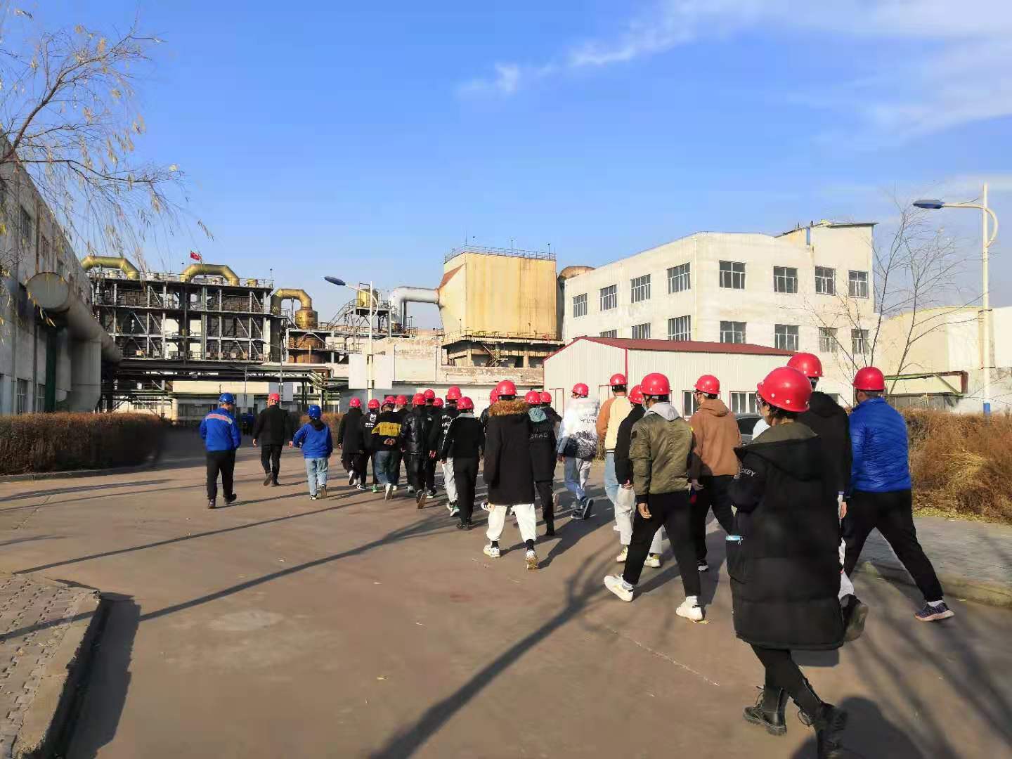 德信娱乐·(中国)有限公司官网